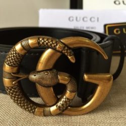 Cinto Gucci Fivela De Cobra Dourada
